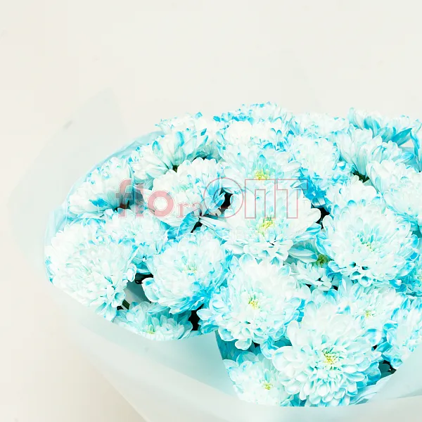 Букет № 535 с синей крашеной хризантемой  — фото 3
