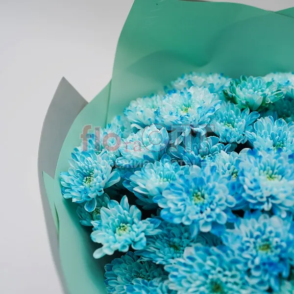 Букет № 122 из крашенной кустовой хризантемы  — фото 4