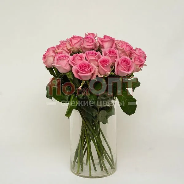 Роза Россия 50см — фото 3