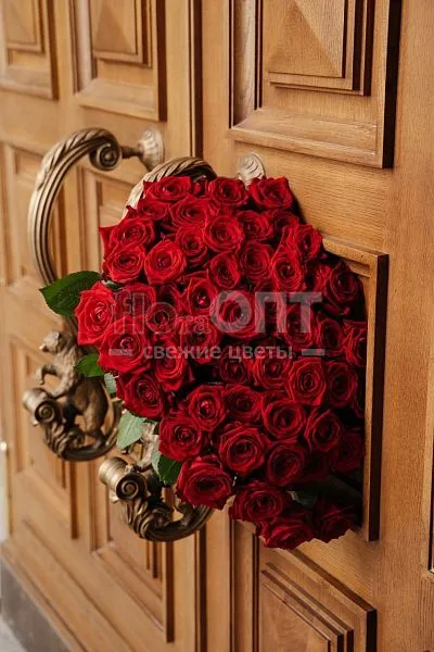 Роза Гран При 70 см — фото 1