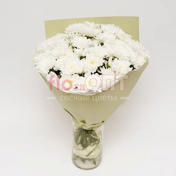 Букет № 143 из 5 шт кустовых хризантем  — фото 2