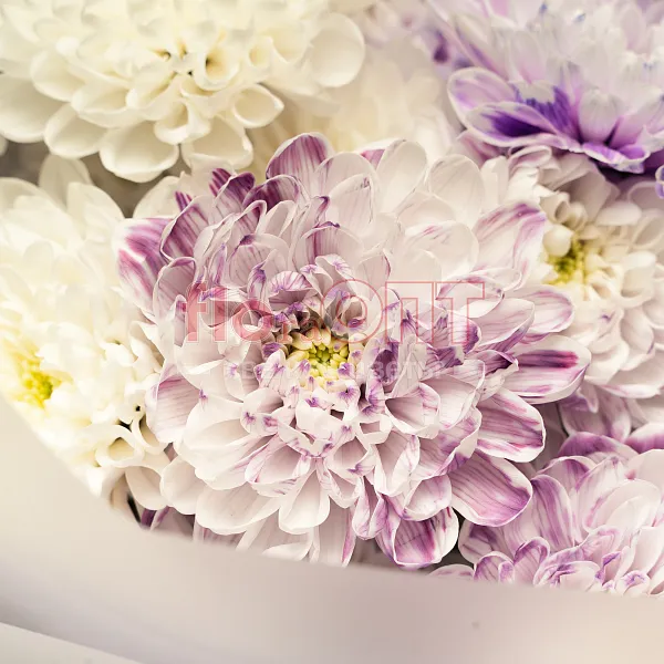 Букет № 529 с фиолетовой хризантемой  — фото 5