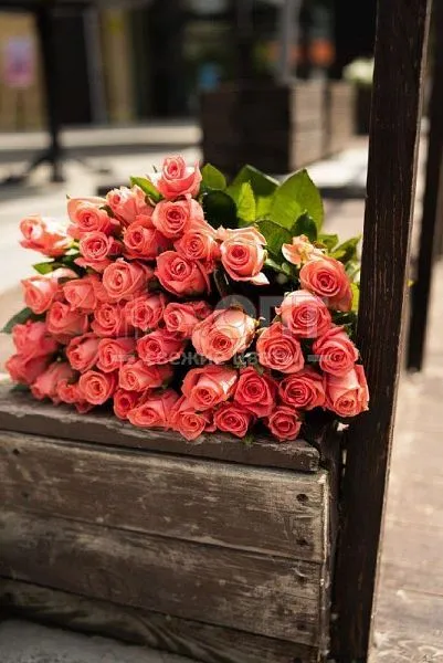 Роза Россия 60см — фото 1