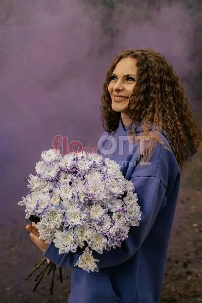 Хризантема крашеная Сиреневая — фото 2