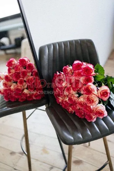 Роза Россия 60см — фото 2