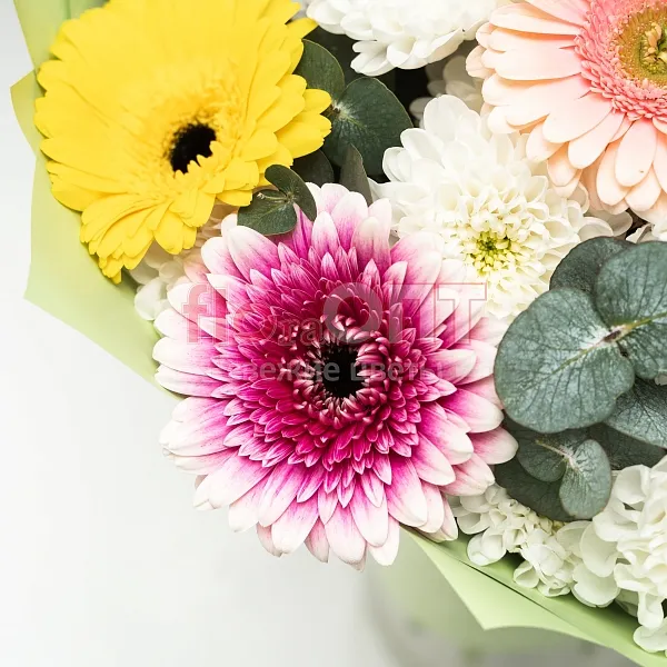 Букет № 523 с разноцветными герберами и хризантемой  — фото 3