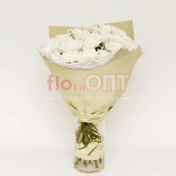 Букет № 143 из 5 шт кустовых хризантем  — фото 1