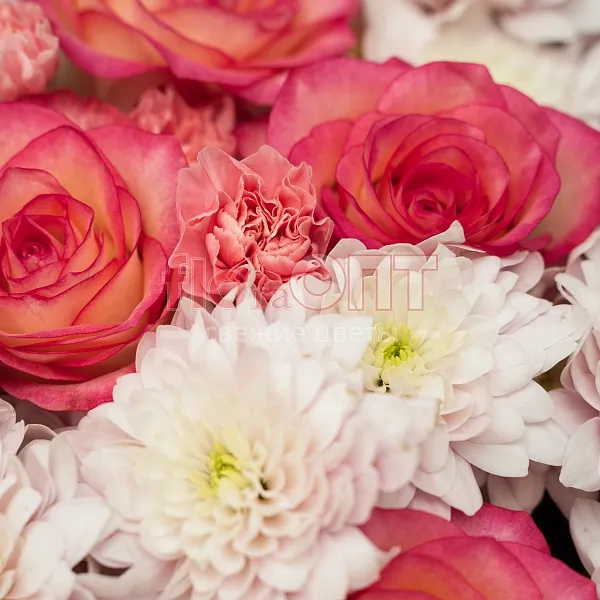 Букет № 516 с розовыми розами и хризантемой — фото 4