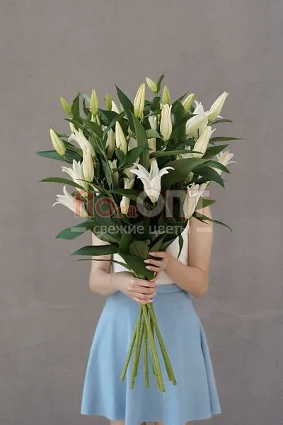 Лилия — фото 2