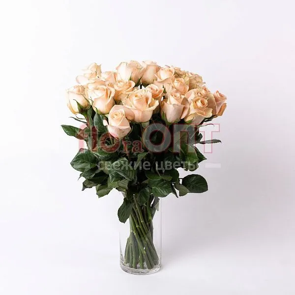 Роза Микс 50 см — фото 5