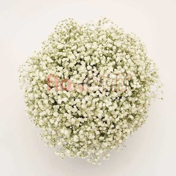 Композиция № 220 в коробке с гипсофилой  — фото 5