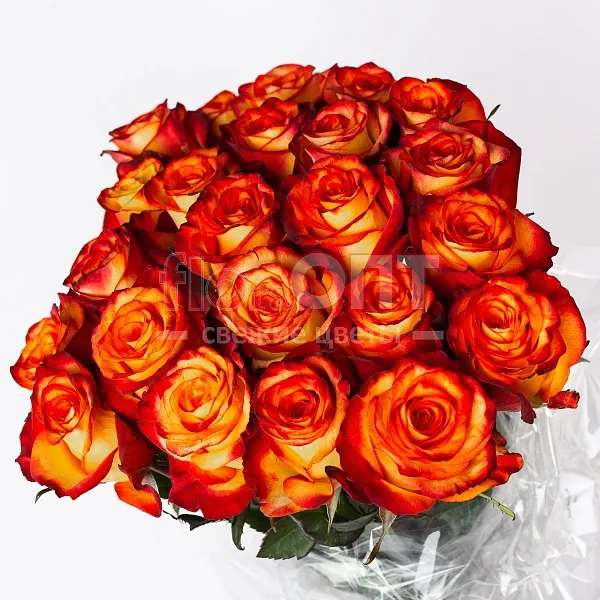 Роза Микс 40 см — фото 4