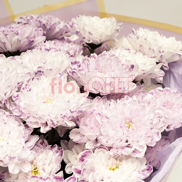 Букет № 532 с фиолетовой крашеной хризантемой  — фото 3