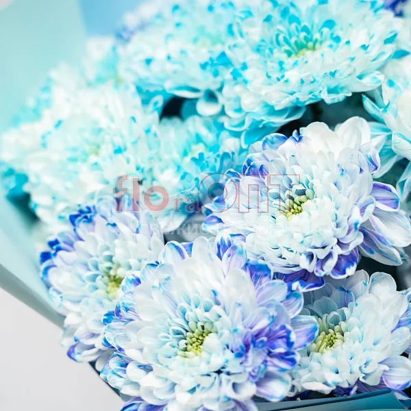 Букет № 500 с крашеной хризантемой  — фото 5