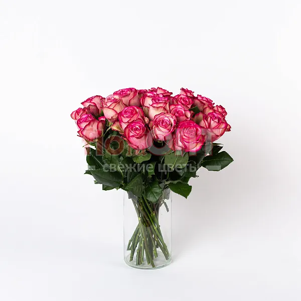 Роза Микс 50 см — фото 2