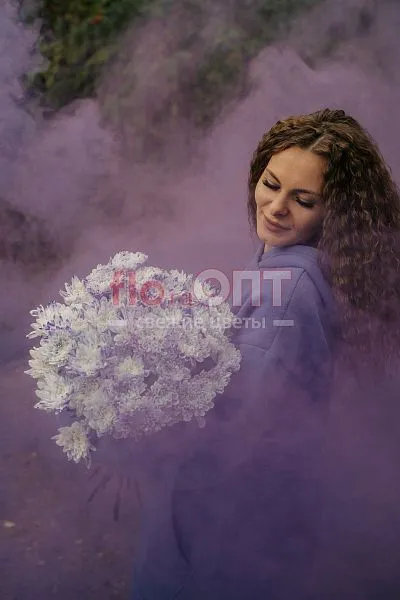 Хризантема крашеная Сиреневая — фото 4