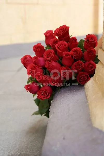 Роза Форевер 70см — фото 1