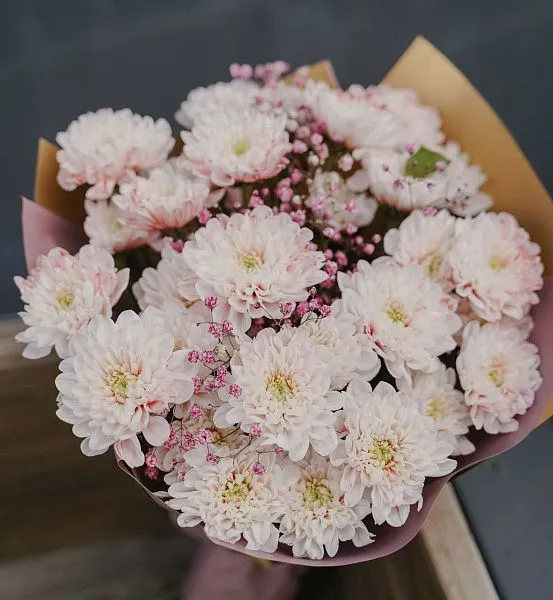 Букет № 563 из крашеной кустовой хризантемы  — фото 3