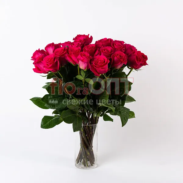 Роза Микс 60 см — фото 3