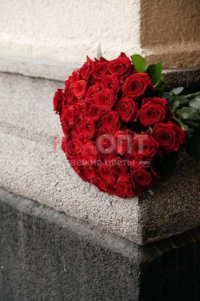 Роза Гран При 50 см — фото 1