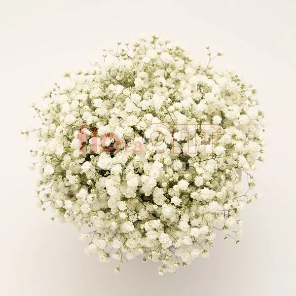 Композиция № 220 в коробке с гипсофилой  — фото 4