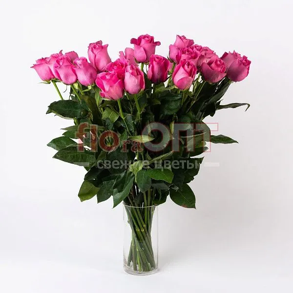 Роза Микс 70 см — фото 3