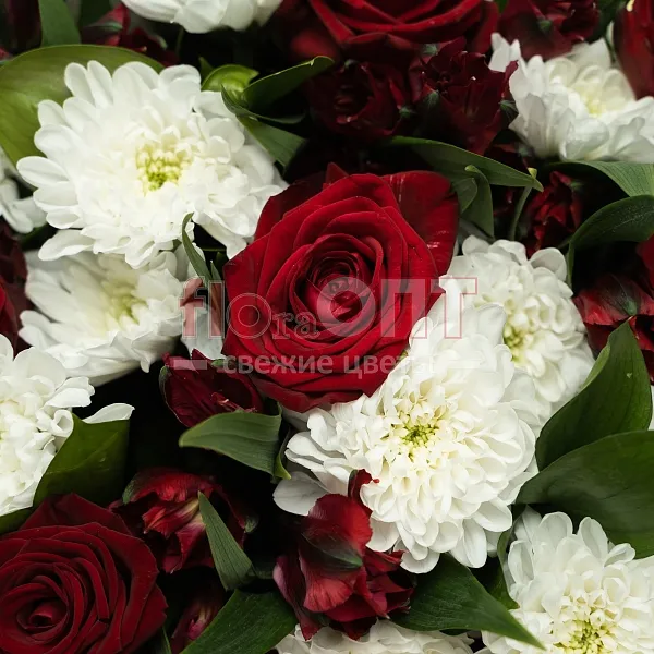 Букет № 515 с белой хризантемой и красными розами — фото 3