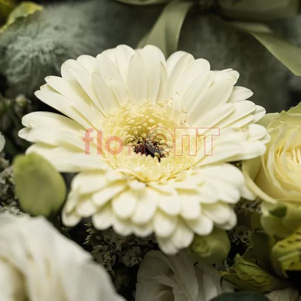 Букет № 540 с розами и герберой  — фото 4