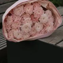 Букет Зефирка №15 из розовых крашеных хризантем — фото 6