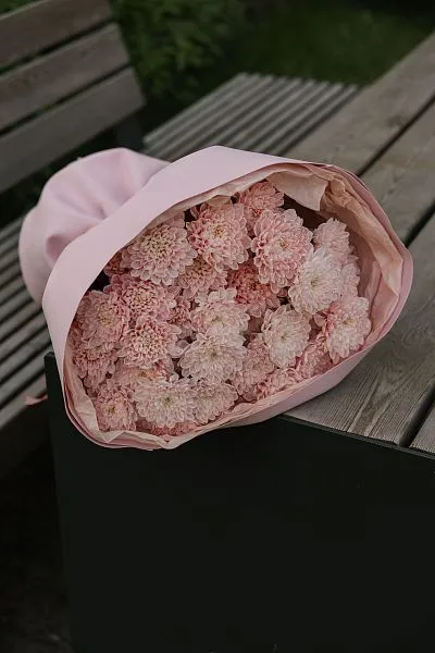 Букет Зефирка №15 из розовых крашеных хризантем — фото 2