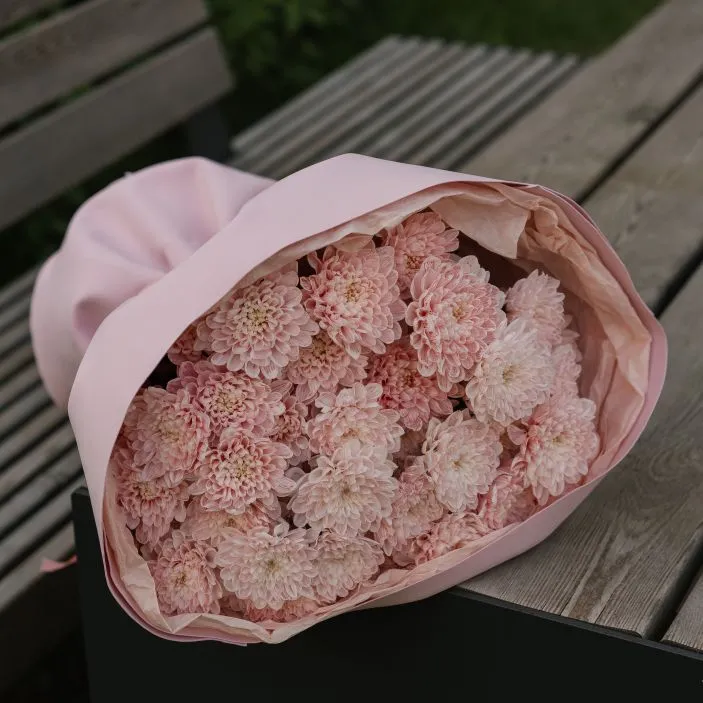 Букет Зефирка №15 из розовых крашеных хризантем — фото 33