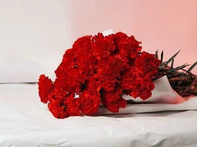 Гвоздика Одиночная красная в Новосибирске — фото 7