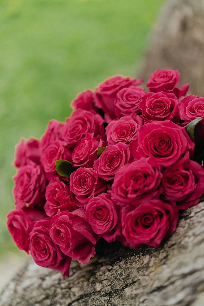 Роза Готча 50 см — фото 2